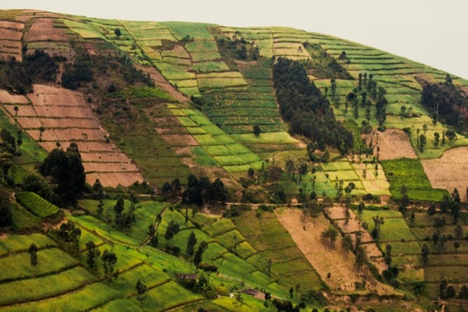 Agriculture écologique est une priorité au Burundi