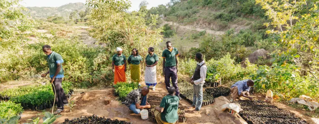 Connecting the People Growing A Trillion Trees the Right Way
