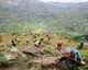 Community Tree Planting_Burundi_Plant With Purpose