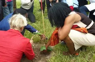 Plantation d'arbre par l'amabassadrice du Canada